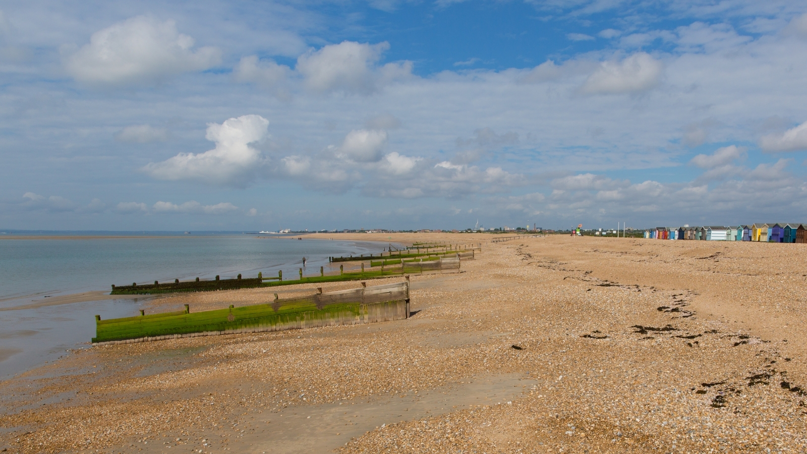 Timber groynes running down a wide shingle beach, with a row of beach huts along the shore.