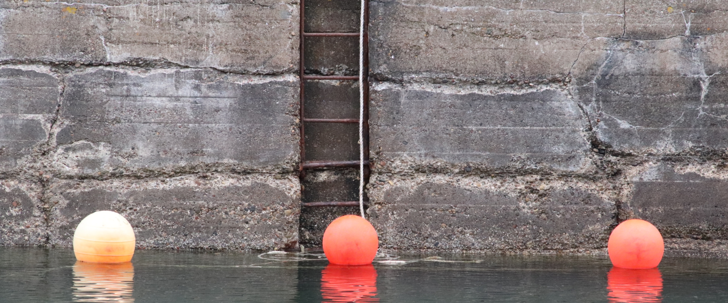 Orange buoys floating against a concrete quay wall with a ladder.